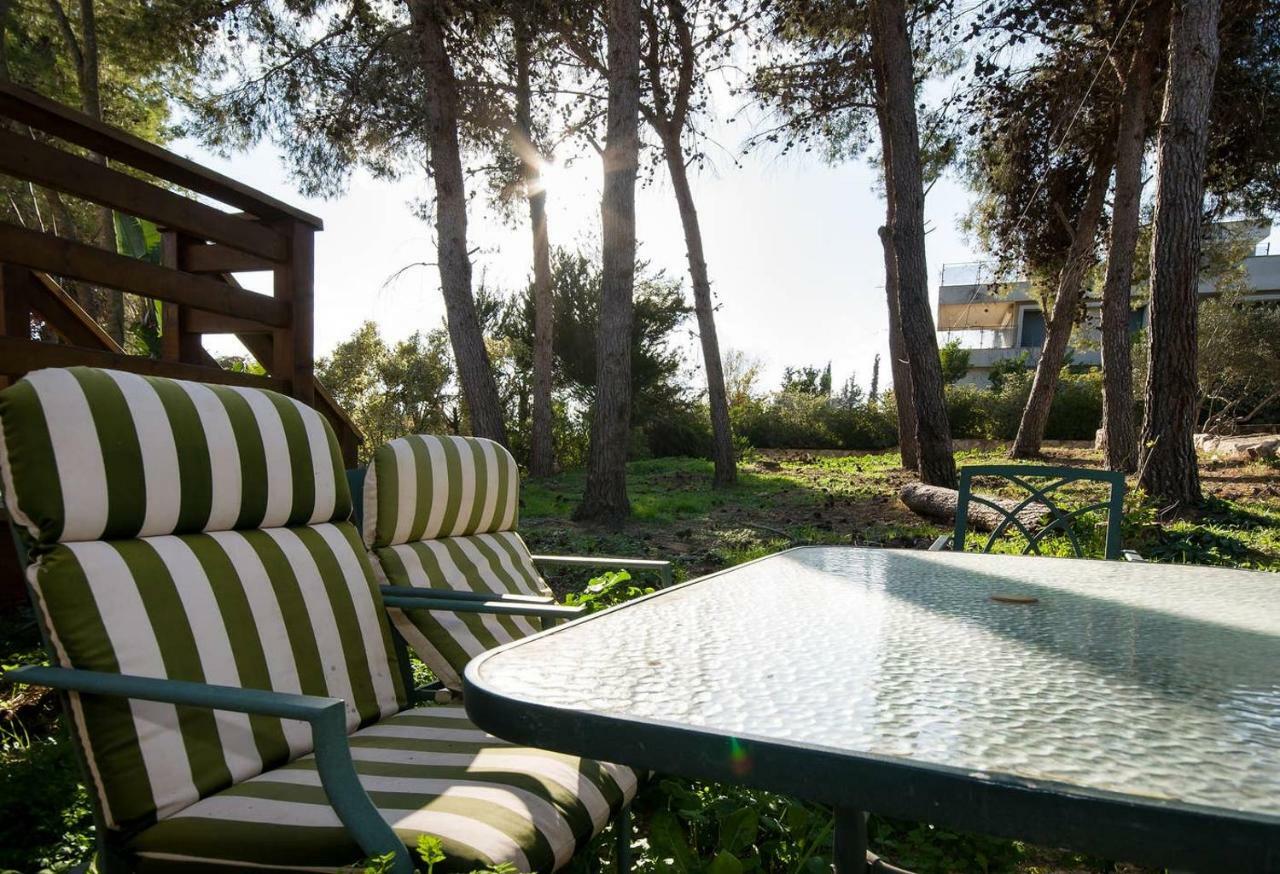 Lili'S Galilee House! Nature Views Terrace Kefar Weradim Exterior photo